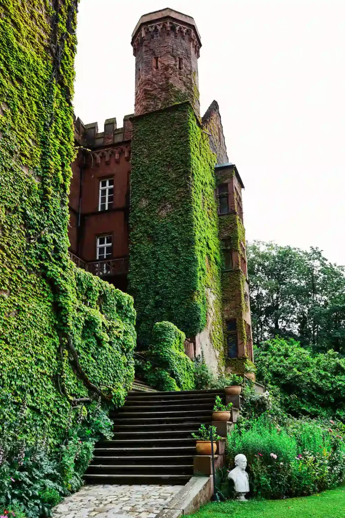 Ein hoher, mit Efeu bewachsener Burgturm steht neben steinernen Stufen, die zu einem Eingang führen, umgeben von üppigem Grün und einer kleinen weißen Statue in einem Garten - perfekt für Heiraten auf der Mittelburg in Neckarsteinach. Onelovephoto - Hochzeitsfotografie in Mannheim und Heidelberg